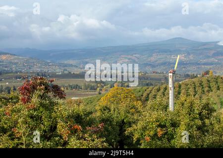 Hood River, Oregon, États-Unis. Ventilateur de machine à vent ou de verger dans un verger de pomme. Les machines éoliennes protègent les récoltes en augmentant les températures. Banque D'Images