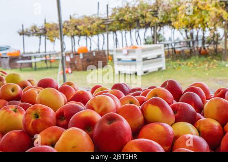 Hood River, Oregon, États-Unis. Pommes à vendre dans un kiosque à fruits, en regardant un jour pluvieux. Banque D'Images