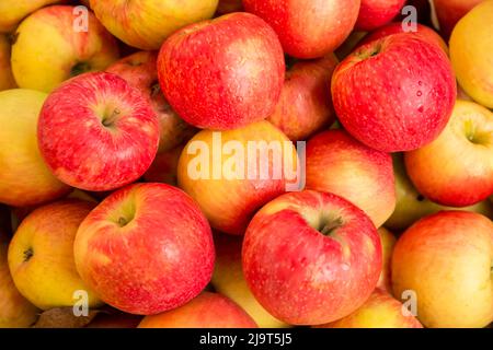 Hood River, Oregon, États-Unis. Pommes de lune de miel à vendre sur un porte-fruits. Banque D'Images