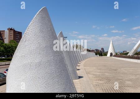 Valence, Espagne - 05 06 2022: Palais des Arts (Palau des Arts Reina Sofia) à la Cité des Arts et des Sciences de Valence. Banque D'Images