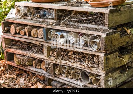 Issaquah, État de Washington, États-Unis. Un hôtel d'insectes est une structure fabriquée à partir de matériaux naturels, ils peuvent venir dans une variété de formes et de tailles Banque D'Images