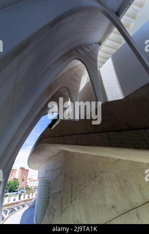 Valence, Espagne - 05 07 2022: L'intérieur du Palais des Arts (Palau des Arts Reina Sofia) à la Cité des Arts et des Sciences de Valence. Banque D'Images