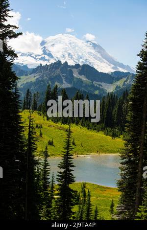 Col Chinook, État de Washington, États-Unis. Mont Rainier, Lac Tipsoo Banque D'Images