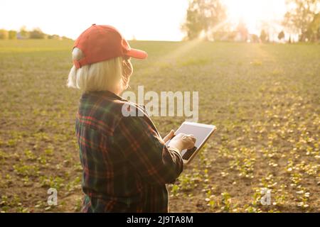 Femme paysanne caucasienne travaillant sur la plantation de soja, examinant le développement de la culture sur comprimé Banque D'Images