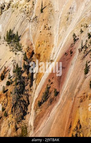 Parois colorées abruptes du canyon de rhyolite modifiée thermiquement, Grand Canon du Yellowstone, parc national de Yellowstone, Wyoming Banque D'Images