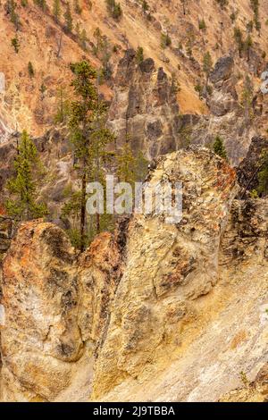 Parois colorées abruptes du canyon de rhyolite modifiée thermiquement, Grand Canon du Yellowstone, parc national de Yellowstone, Wyoming Banque D'Images