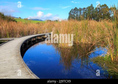 Une promenade dans le parc régional de Pekapeka, un refuge pour les terres humides et la faune dans la région de Hawke's Bay, en Nouvelle-Zélande Banque D'Images