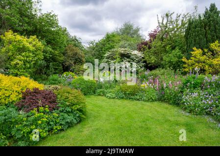 Un jardin de campagne anglais au début de l'été avec abondance d'arbustes et de vivaces plantés de manière informelle. Banque D'Images