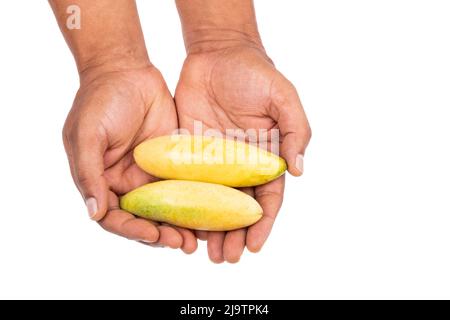 Passiflora Tripartita - biologique Cucuba Exotic fruit tropical dans les mains des hommes, sur fond blanc Banque D'Images