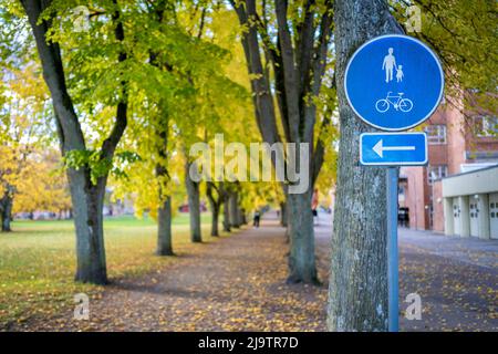 panneau de piste cyclable dans le parc de la ville. Alerter les piétons sur le mouvement des cyclistes. Infrastructure de cyclisme. Banque D'Images