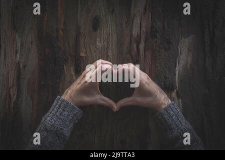 Deux mains d'homme formant un coeur sur l'écorce d'un arbre qui parle d'amour pour la nature et l'écologie dans une atmosphère d'automne Banque D'Images