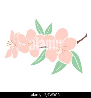 Branche en fleur de pomme ou de cerisier Illustration de Vecteur