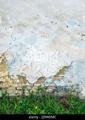 Vieux mur de boue avec de l'herbe comme arrière-plan Banque D'Images