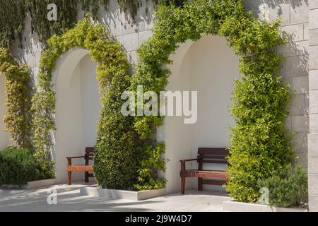 Arcades de pierre blanche avec bancs en bois à l'ombre dans le port de Porto Montenegro hanter de la riche et célèbre Banque D'Images