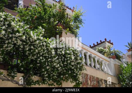 Ancienne maison néoclassique balcon avec balusters en plâtre blanc fait à la main et une plante grimpant de jasmin à Nafplio, Grèce. Banque D'Images