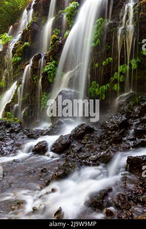 Le magnifique Banyu Wana Amertha est situé à Wanagiri, Buleeng Bali Banque D'Images
