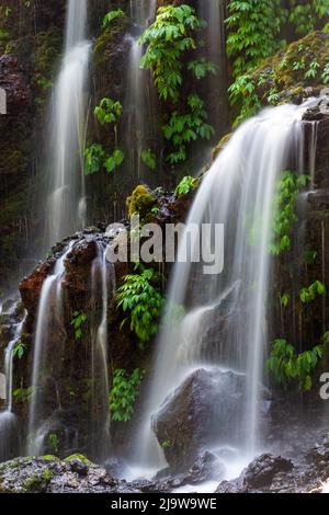 Proche de la belle Banyu Wana Amertha est situé à Wanagiri, Buleeng Bali Banque D'Images