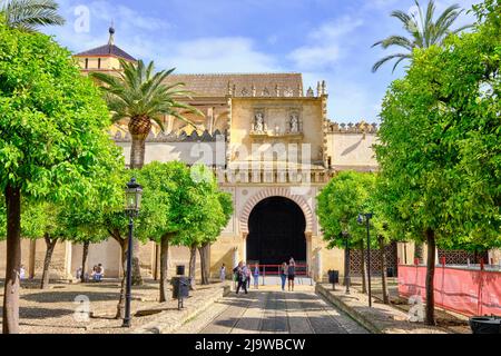 Mezquita-Catedral (Mosquée-cathédrale) de Cordoue, site classé au patrimoine mondial de l'UNESCO. Patio de los Naranjos. Andalousie, Espagne Banque D'Images