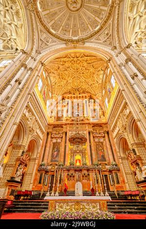 Intérieur de la Mezquita-Catedral (Mosquée-cathédrale) de Cordoue, site classé au patrimoine mondial de l'UNESCO. Andalousie, Espagne Banque D'Images