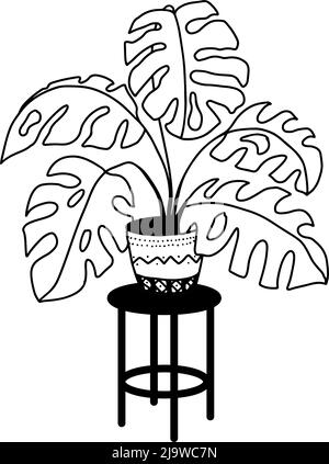 Fleurs en pot sur un support, décoration d'intérieur. Dessin à main levée, esquisse linéaire en noir et blanc. Grandes plantes d'intérieur à l'extérieur. Illustration vectorielle Illustration de Vecteur