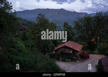 Un paysage à l'aube de bâtiments agricoles et de contreforts de montagne dans le hameau de Lon près de Potes, une passerelle touristique populaire pour ceux qui entrent dans la région du parc national espagnol Picos de Europa, le 18th mai 2022, Lon, Asturies, Espagne. Banque D'Images