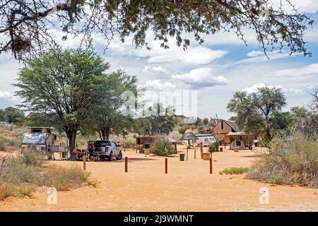 Twee Rivieren Rest camp dans le parc transfrontalier de Kgalagadi dans le désert de Kalahari, province du Cap Nord, Afrique du Sud Banque D'Images