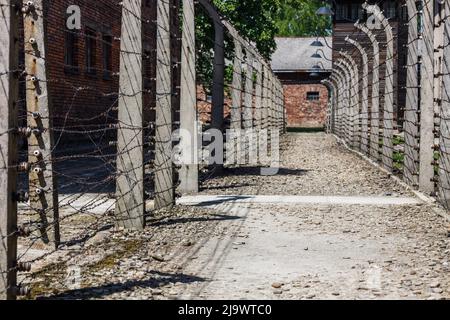 Barbelés autour du camp de concentration d'Auschwitz-Birkenau. Oswiecim, Pologne, 16 mai 2022 Banque D'Images