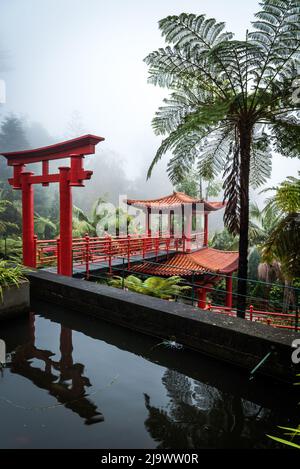 Jardin botanique Japanede Banque D'Images