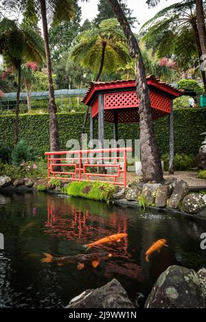 Jardin botanique Japanede Banque D'Images