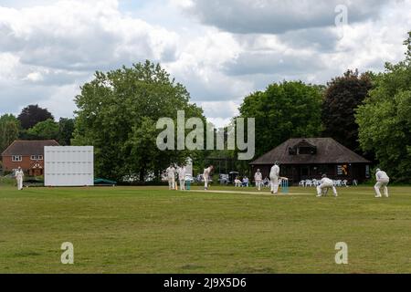 Match de cricket du village à Shalford, Surrey, Angleterre, Royaume-Uni Banque D'Images