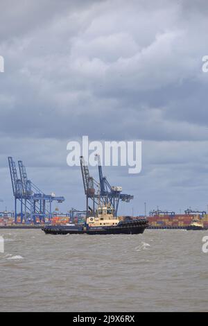 Remorqueur Svitzer Deben aidant un navire à conteneurs à quitter le port de Felixstowe. Banque D'Images