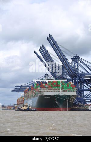 Bateau à conteneurs toujours doucement se préparant à quitter le port de Felixstowe, Suffolk, Royaume-Uni, assisté par les remorqueurs Svitzer Shotley Svitzer Sky Svitzer Deben Banque D'Images