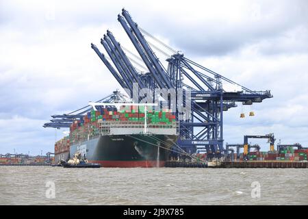 Bateau à conteneurs toujours doucement se préparant à quitter le port de Felixstowe, Suffolk, Royaume-Uni, assisté par les remorqueurs Svitzer Shotley Svitzer Sky Svitzer Deben Banque D'Images