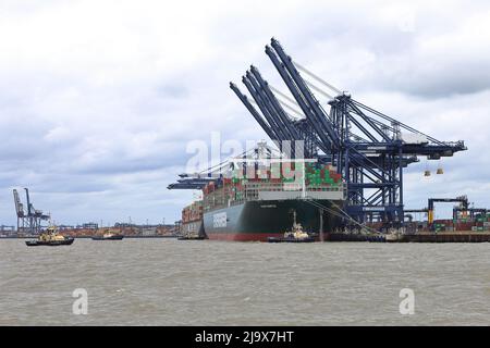 Bateau à conteneurs toujours doucement se préparant à quitter le port de Felixstowe, Suffolk, Royaume-Uni, assisté par les remorqueurs Svitzer Shotley Svitzer Sky Svitzer Deben Banque D'Images