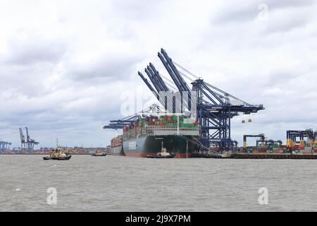 Bateau à conteneurs toujours doucement se préparant à quitter le port de Felixstowe, Suffolk, Royaume-Uni, assisté par les remorqueurs Svitzer Shotley Svitzer Sky Svitzer Deben Banque D'Images