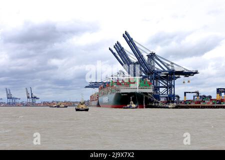 Bateau à conteneurs toujours doucement se préparant à quitter le port de Felixstowe, Suffolk, Royaume-Uni, assisté par les remorqueurs Svitzer Shotley Svitzer Sky Svitzer Deben Banque D'Images