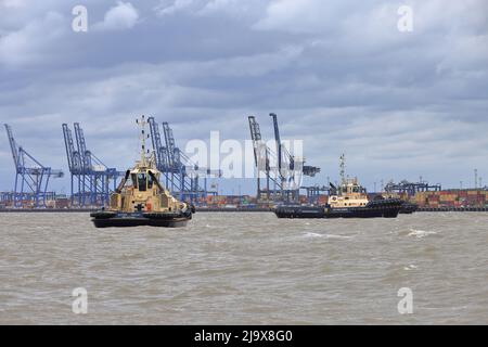 Des remorqueurs Svitzer Shotley et Svitzer Deben assistent un navire à conteneurs qui quitte le port de Felixstowe. Banque D'Images