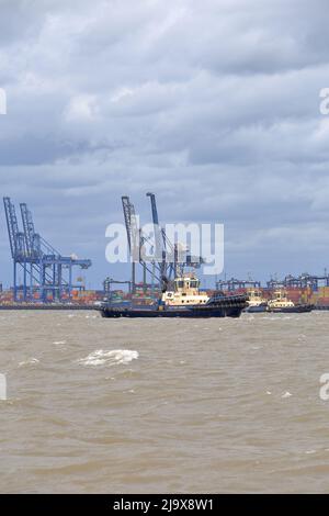 Remorqueur Svitzer Deben aidant un navire à conteneurs à quitter le port de Felixstowe dans des conditions météorologiques défavorables. Banque D'Images