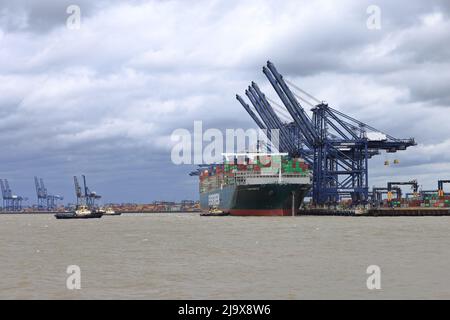 Bateau à conteneurs toujours doucement se préparant à quitter le port de Felixstowe, Suffolk, Royaume-Uni, assisté par les remorqueurs Svitzer Shotley Svitzer Sky Svitzer Deben Banque D'Images