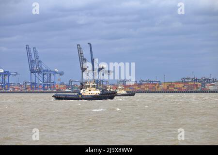 Remorqueur Svitzer Deben aidant un navire à conteneurs à quitter le port de Felixstowe dans des conditions météorologiques défavorables. Banque D'Images