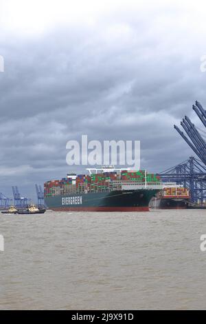 Bateau à conteneurs toujours doucement se préparant à quitter le port de Felixstowe, Suffolk, Royaume-Uni, assisté par les remorqueurs Svitzer Shotley Svitzer Sky Svitzer Deben Banque D'Images