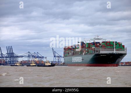 Bateau à conteneurs toujours doucement se préparant à quitter le port de Felixstowe, Suffolk, Royaume-Uni, assisté par les remorqueurs Svitzer Shotley Svitzer Sky Svitzer Deben Banque D'Images