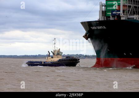 Remorqueur Svitzer Deben aidant le navire à conteneurs toujours doux pour quitter le port de Felixstowe dans des conditions météorologiques défavorables. Banque D'Images