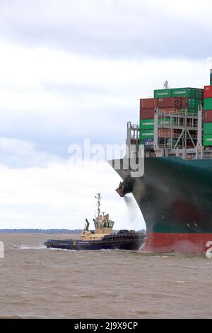 Remorqueur Svitzer Deben aidant le navire à conteneurs toujours doux pour quitter le port de Felixstowe dans des conditions météorologiques défavorables. Banque D'Images