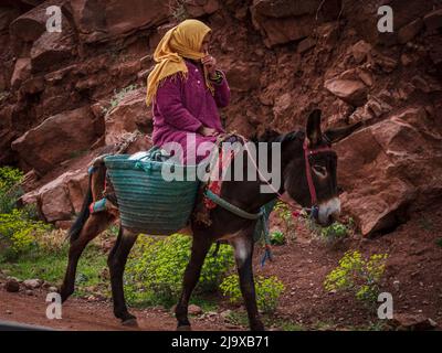 Berber femme à cheval d'un âne, ait Blal, province d'azilal, chaîne de montagnes de l'Atlas, maroc, afrique Banque D'Images