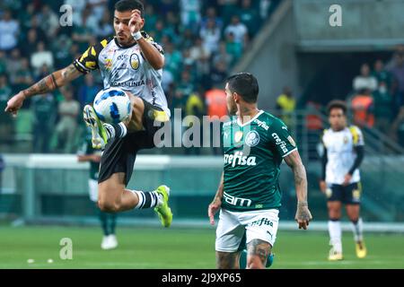 Sao Paulo, Brésil. 25th mai 2022. SP - Sao Paulo - 05/24/2022 - COPA LIBERTADORES 2022, PALMEIRAS X DEPORTIVO TÁCHIRA - Deportivo Táchira joueur lors d'un match contre Palmeiras à l'Arena Allianz Parque stade pour le championnat Copa Libertadores 2022. Photo: Marcello Zambrana/AGIF/Sipa USA crédit: SIPA USA/Alay Live News Banque D'Images