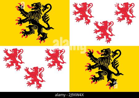 Vue de dessus du drapeau hauts de France, France. Patriote français et concept de voyage. Pas de mât. Conception de plan, présentation. Arrière-plan drapeau Banque D'Images