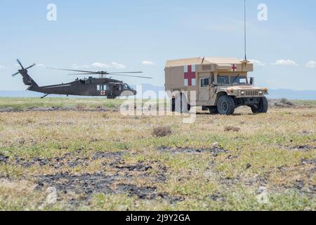 Des membres du quartier général et du quartier général de la Garde nationale de l’Armée de l’Idaho, 1st du Régiment d’artillerie de campagne 148th, ont effectué des évacuations médicales aériennes et des traitements de victimes, ainsi que des membres du détachement 1, Compagnie Golf, 1st du Bataillon de l’aviation de soutien général 168th du Centre d’entraînement au combat d’Orchard, en mai 17. Banque D'Images