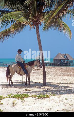 Kubaner auf einem weissen Pferd am Strand, Santa Lucia, Provinz Camaguey, Kuba, Karibik | Cuban sur un cheval blanc, plage à Sainte-Lucie, Camaguey pro Banque D'Images