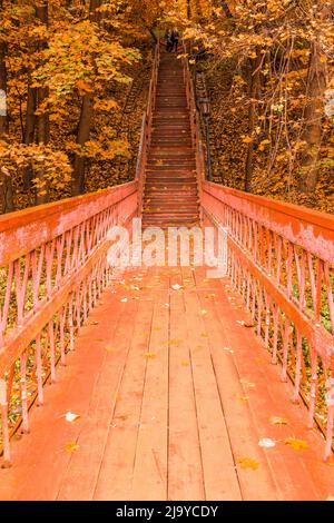 Escaliers en bois avec feuilles dans la forêt d'automne. Banque D'Images